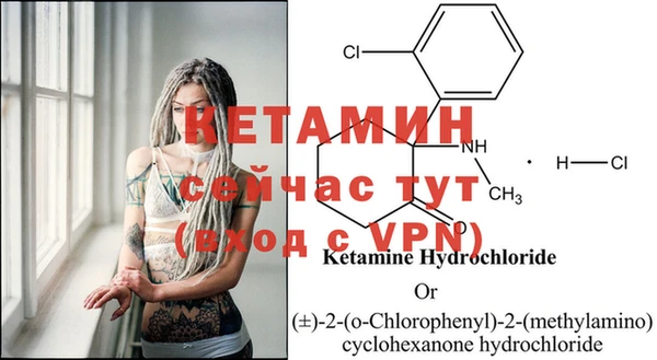 ПСИЛОЦИБИНОВЫЕ ГРИБЫ Ельня