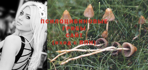 прущие крисы Осинники