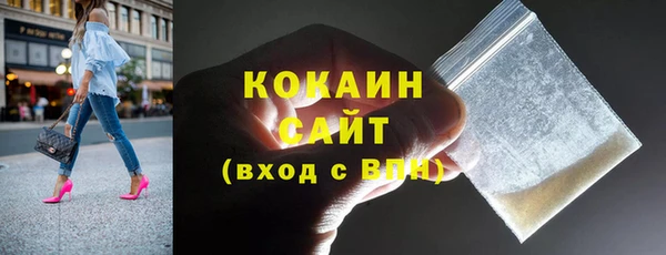 шишки Осташков