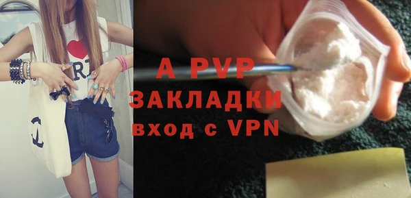 шишки Осташков