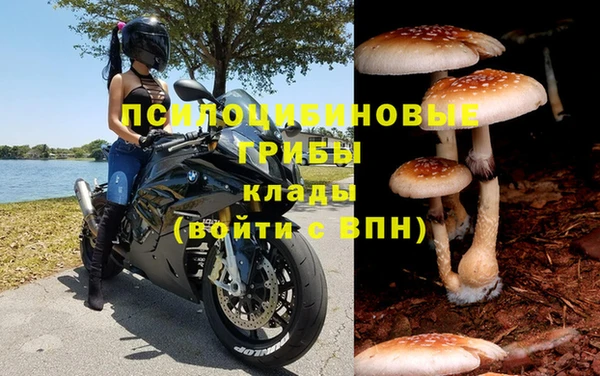 mdpv Няндома