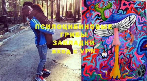шишки Осташков