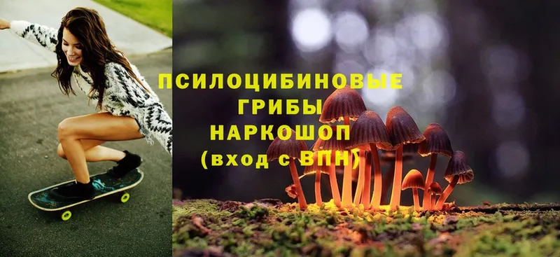 Псилоцибиновые грибы MAGIC MUSHROOMS  Кириллов 